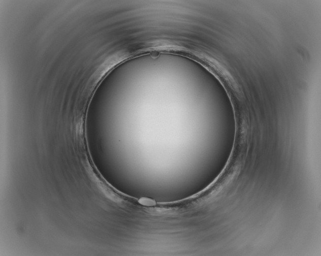 X0000110881281200906181217