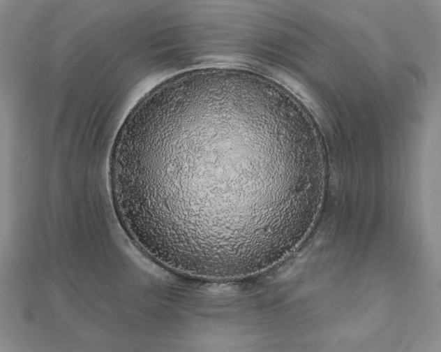 X0000110881283200906181217