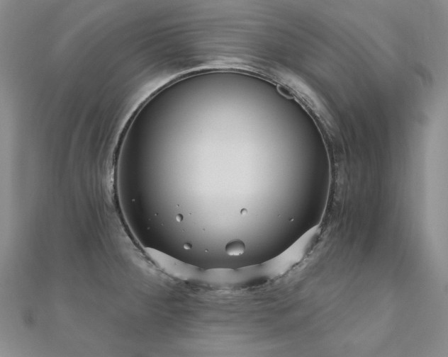 X0000110881284200906181217