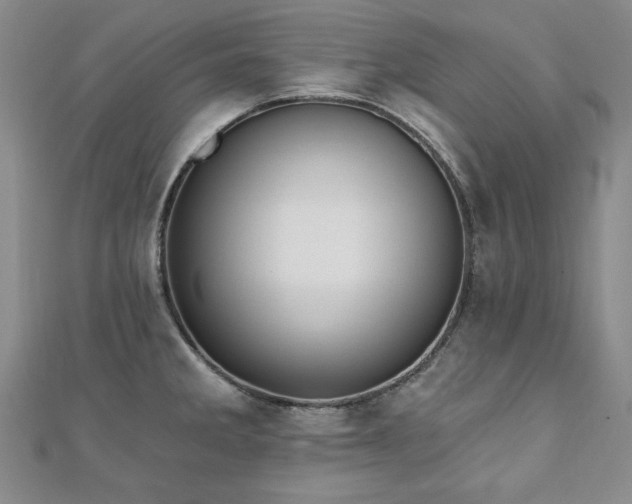 X0000110881285200906181217