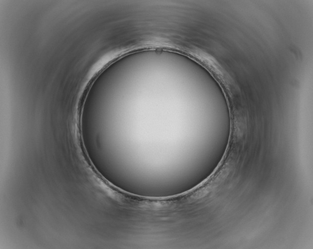 X0000110881286200906181217