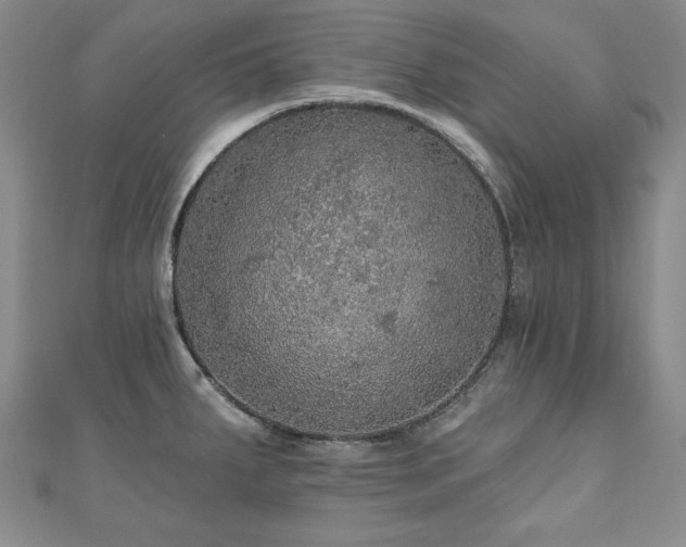 X0000110881287200906181217