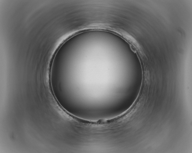 X0000110881288200906181217
