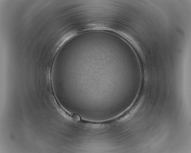 X0000110881289200906181217