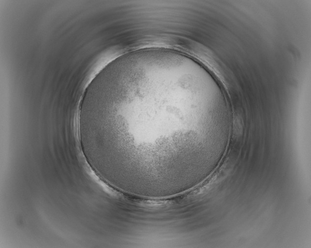 X0000110881290200906181217