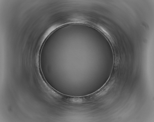 X0000110881291200906181217