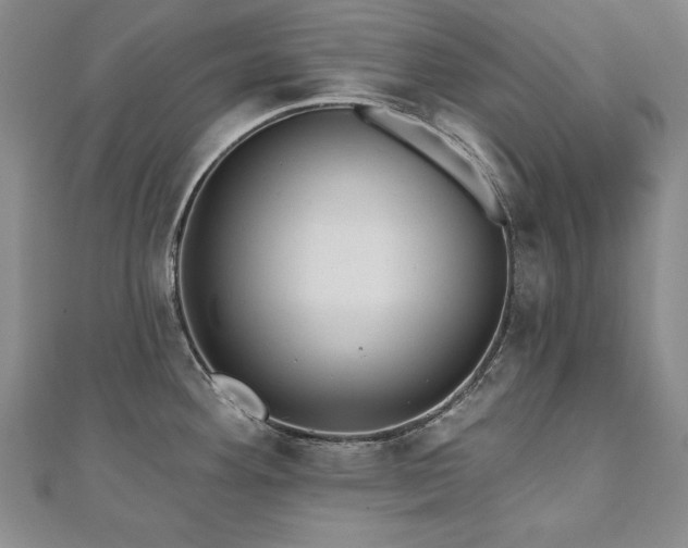 X0000110881292200906181217