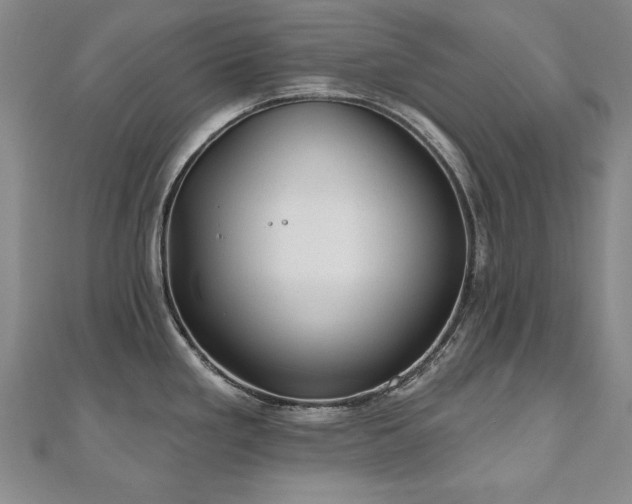 X0000110881293200906181217