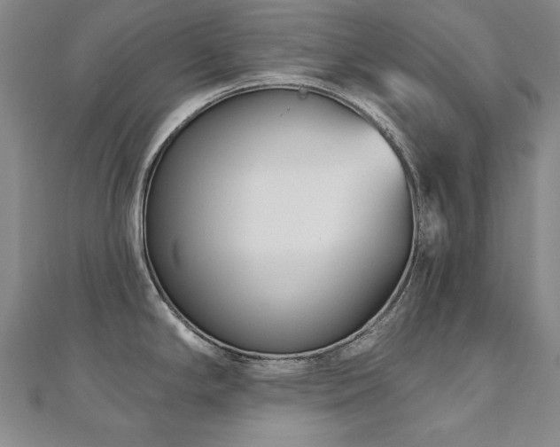 X0000110881294200906181217