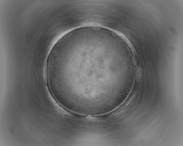 X0000110881295200906181217