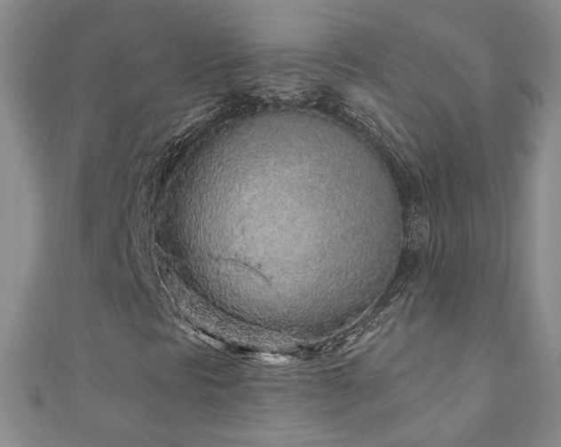 X0000110881297200906181217
