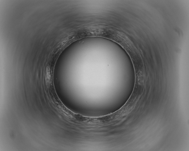 X0000110881298200906181217