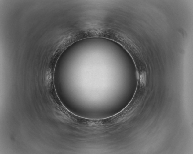 X0000110881299200906181217