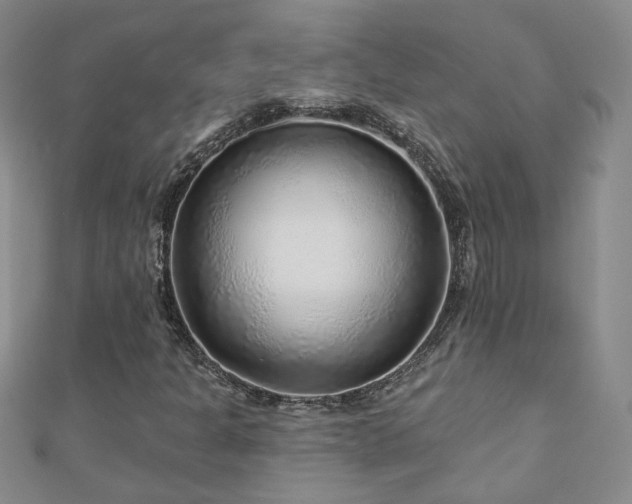 X0000110881301200906181217