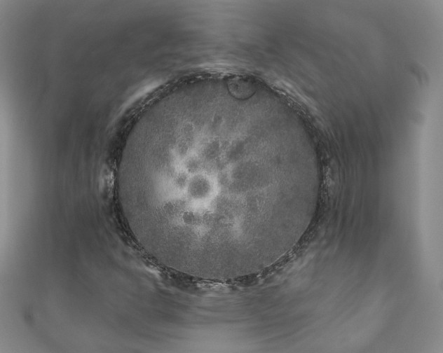 X0000110881302200906181217