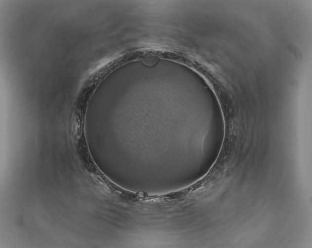 X0000110881303200906181217