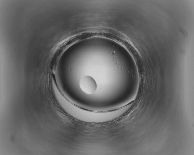 X0000110881304200906181217
