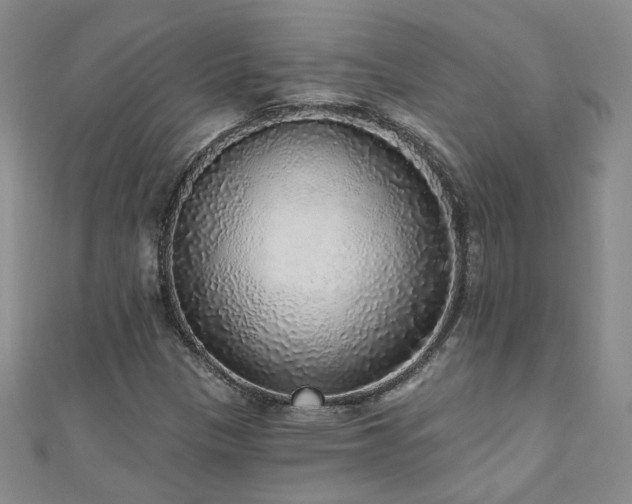 X0000110881305200906181217