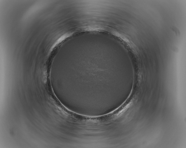 X0000110881306200906181217