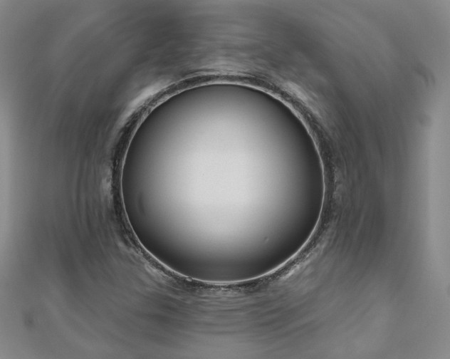 X0000110881307200906181217