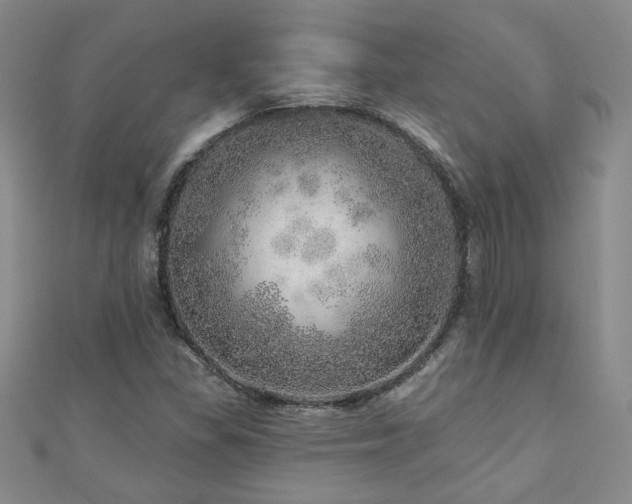 X0000110881309200906181217
