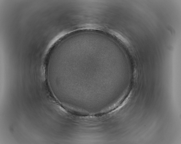 X0000110881310200906181217