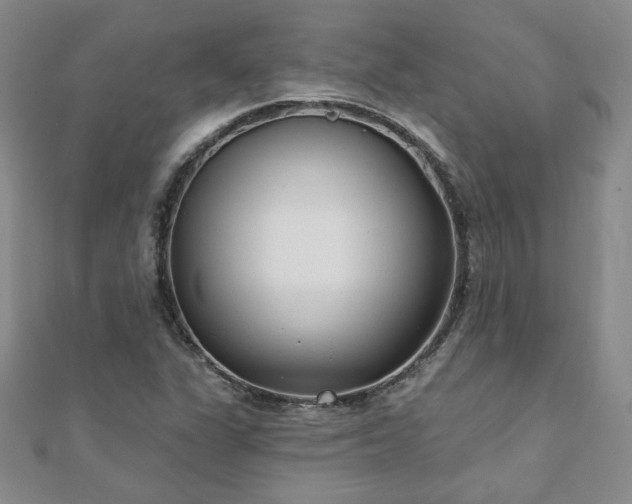 X0000110881311200906181217