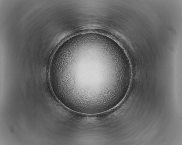 X0000110881313200906181217