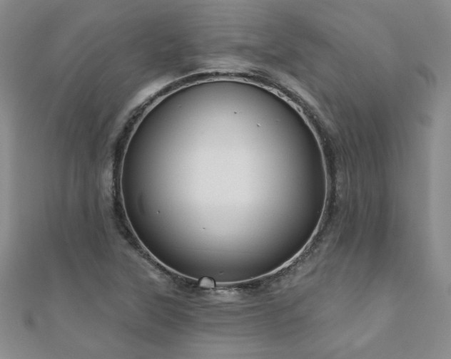 X0000110881315200906181217