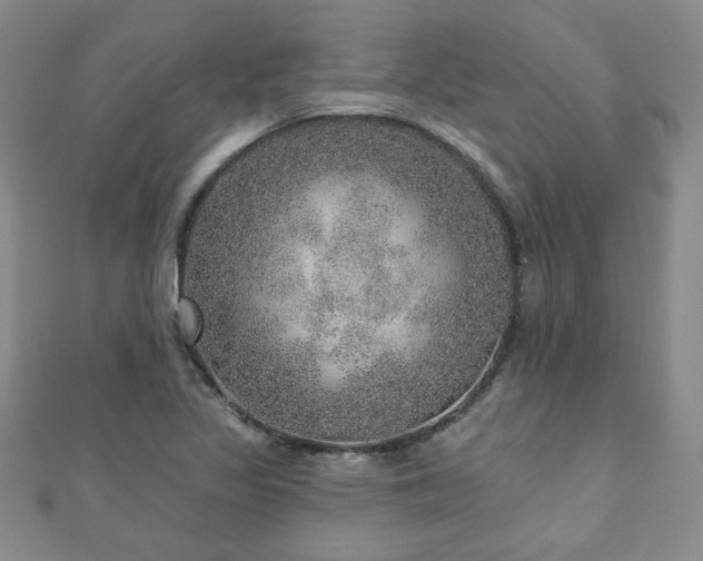 X0000110881317200906181217