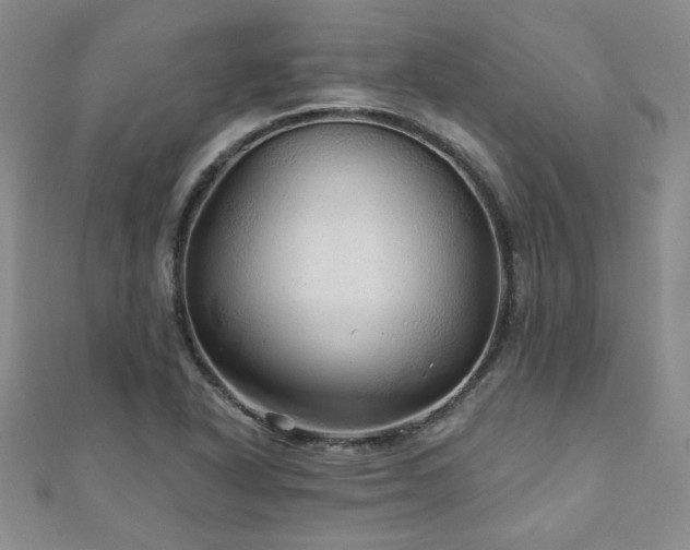 X0000110881318200906181217