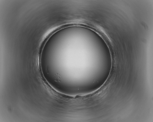 X0000110881320200906181217