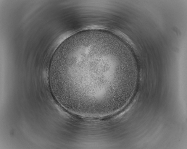 X0000110881321200906181217