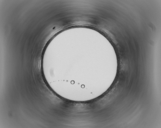 X0000110881322200906181217