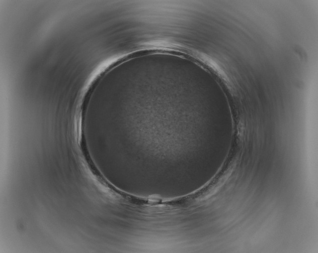 X0000110881323200906181217