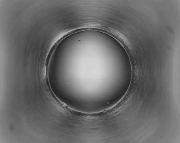 X0000110881324200906181217