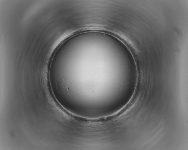 X0000110881325200906181217