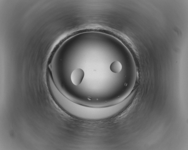 X0000110881326200906181217