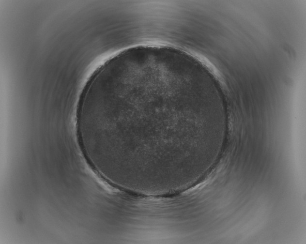 X0000110881327200906181217