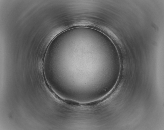 X0000110881329200906181217