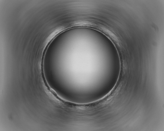 X0000110881330200906181217