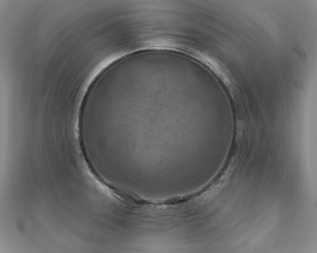 X0000110881331200906181217
