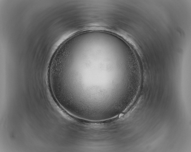 X0000110881333200906181217