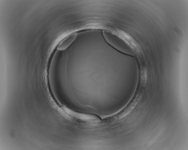 X0000110881334200906181217