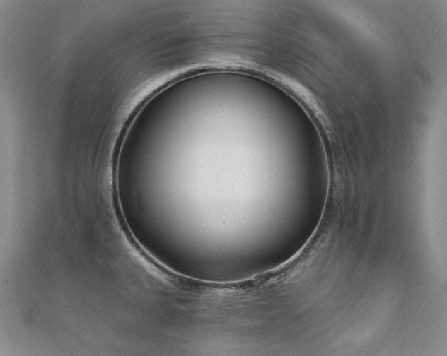 X0000110881335200906181217