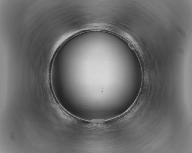 X0000110881336200906181217