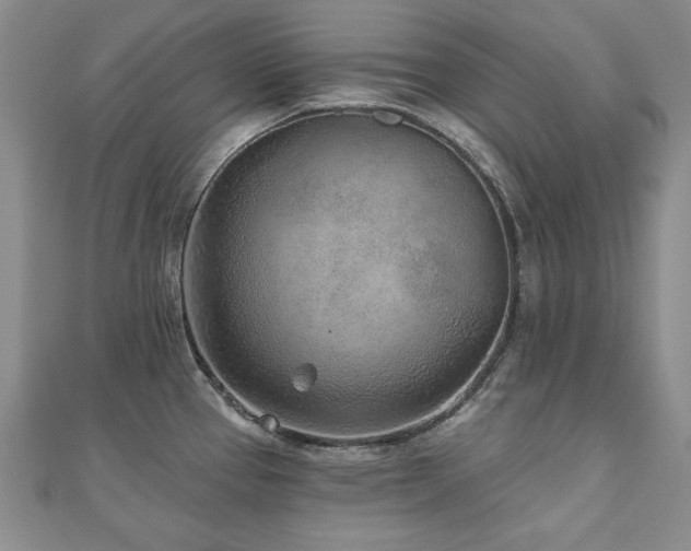 X0000110881337200906181217