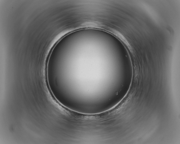 X0000110881339200906181217