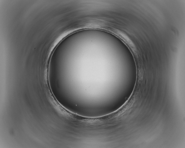 X0000110881340200906181217