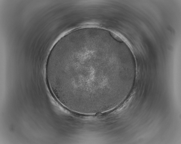 X0000110881341200906181217
